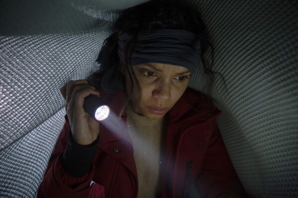 Movie Review Cheap thrills in tedious Netflix spinoff Bird Box